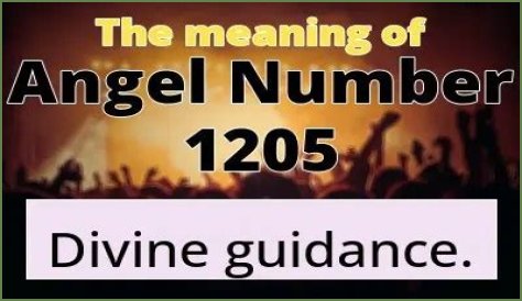 1205 Angel Number Meaning - Pulptastic